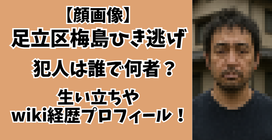 ひき逃げ犯人